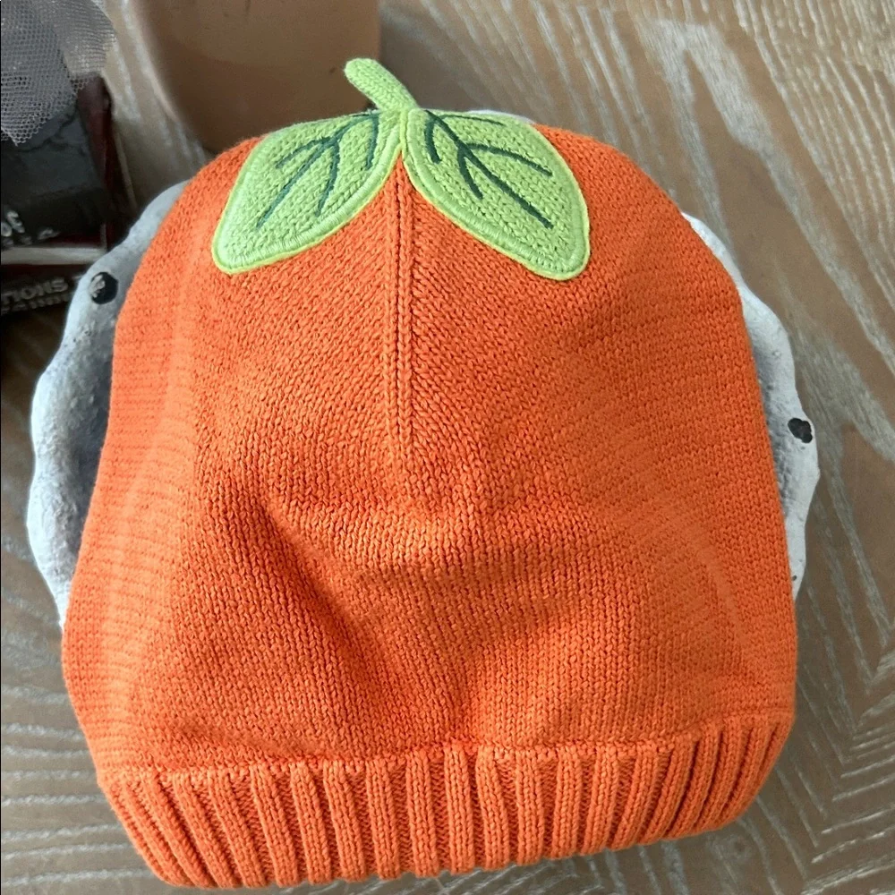 NWOT! Gymboree Knit Sweater Fall Autumn Harvest Pumpkin Beanie Hat
